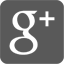 googlePlus icon