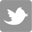twitter icon